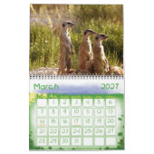 2011 KMP Meerkats Calendar Kalender (Mar 2027)