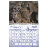 2011 KMP Meerkats Calendar Kalender (Feb 2027)
