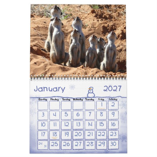 2011 KMP Meerkats Calendar Kalender (Jan 2027)