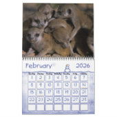 2011 KMP Meerkats Calendar Kalender (Feb 2026)