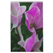 2011 Macro's + Sluitingen (Verticale agenda) Kalender (Hoes)