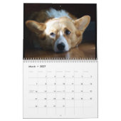 2011 Pembroke Welsh Corgi Calendar Kalender (Mar 2027)