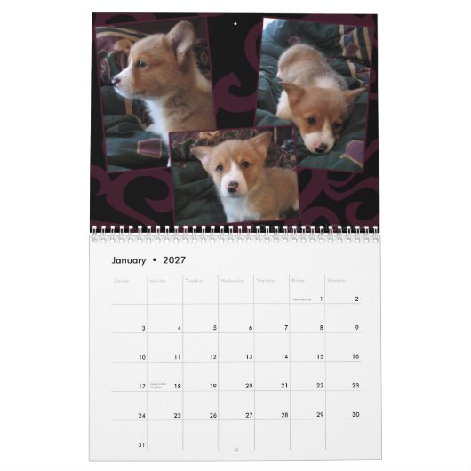 2011 Pembroke Welsh Corgi Calendar Kalender (Jan 2027)