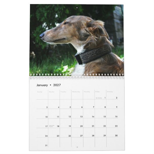2011 Silken Windhounds 2011 (volwassenen) Kalender (Jan 2027)