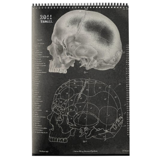 2011 SKULL/SKELETON/ANATOMY-Tang13. Kalender (Hoes)