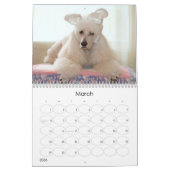 2011 Standard Poodle Calender Kalender (Mar 2026)