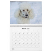 2011 Standard Poodle Calender Kalender (Feb 2026)