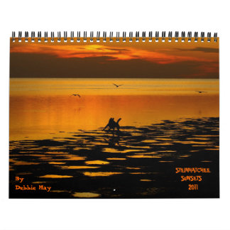 2011 steinhatchee-zonsondergangen kalender