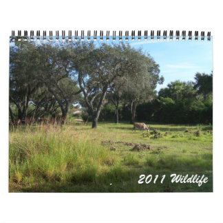 2011 Wilde dieren Kalender