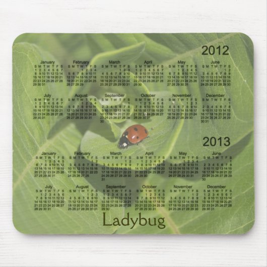 2012-2013 Ladybug Calendar Mousepad Muismat (Voorkant)