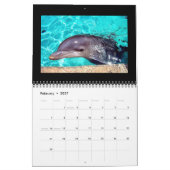 2012 Agenda-dolfijnfotografie Kalender (Feb 2027)