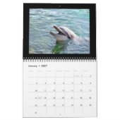 2012 Agenda-dolfijnfotografie Kalender (Jan 2027)