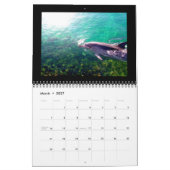 2012 Agenda-dolfijnfotografie Kalender (Mar 2027)