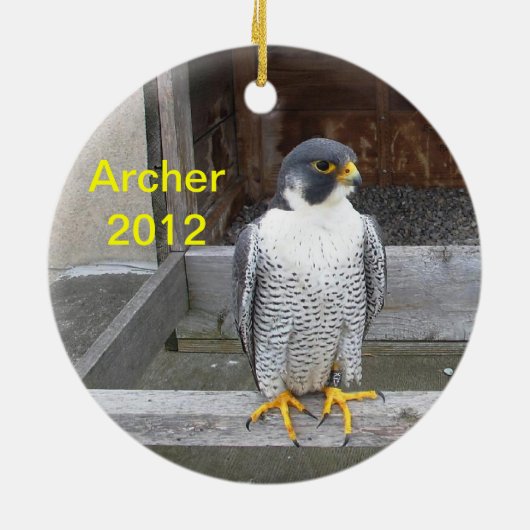 2012 Archer Ornament (Achterkant)