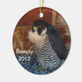 2012 Beauty Ornament (Links)