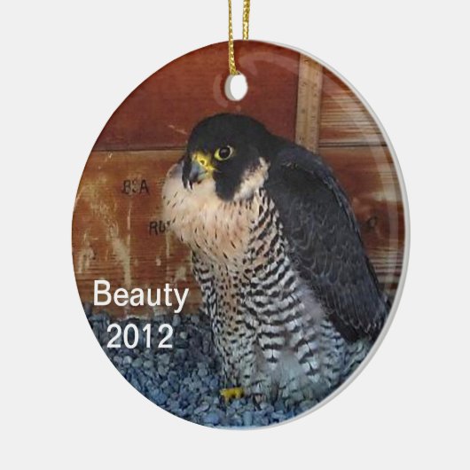 2012 Beauty Ornament (Links)
