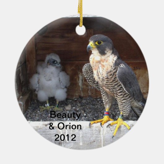 2012 Beauty Ornament (Achterkant)