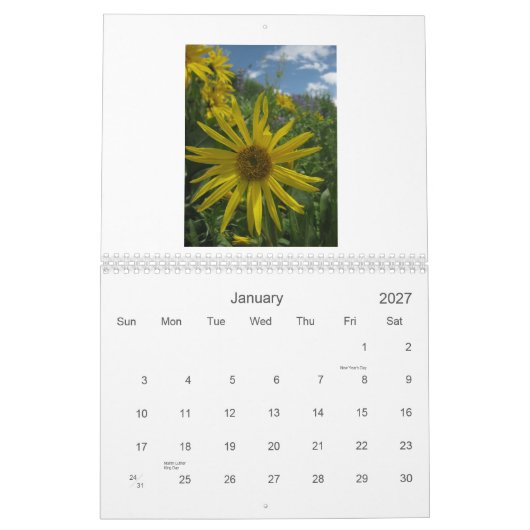 2012 Best of Crested Butte Wildflower Vistas Kalender (Jan 2027)