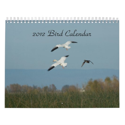 2012 BIRD CALENDAR KALENDER (Hoes)