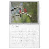 2012 BIRD CALENDAR KALENDER (Mar 2027)