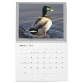 2012 BIRD CALENDAR KALENDER (Feb 2027)