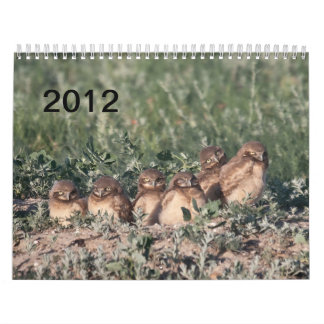 2012 Bouweigendom Kalender