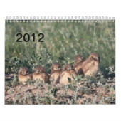 2012 Bouweigendom Kalender (Hoes)