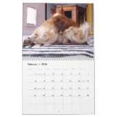 2012 Corgi Butts & Friends Wall Calendar Kalender (Feb 2026)