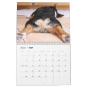 2012 Corgi Butts & Friends Wall Calendar Kalender (Mar 2027)