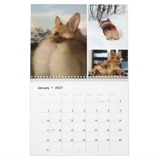 2012 Corgi Butts & Friends Wall Calendar Kalender (Jan 2027)