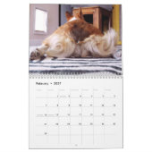 2012 Corgi Butts & Friends Wall Calendar Kalender (Feb 2027)