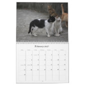 2012 Cutvetten Kalender (Feb 2027)