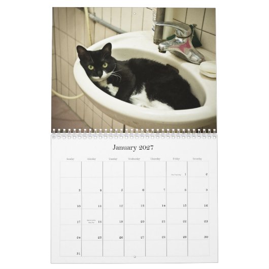 2012 Cutvetten Kalender (Jan 2027)