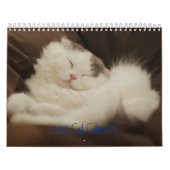 2012 Cutvetten Kalender (Hoes)