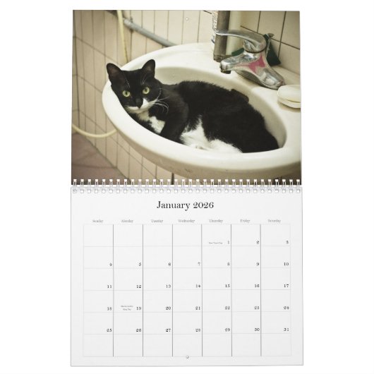 2012 Cutvetten Kalender (Jan 2026)