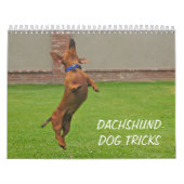 2012 Dachshund Dog-agenda Kalender (Hoes)