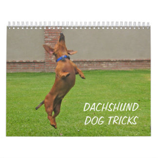 2012 Dachshund Dog-agenda Kalender