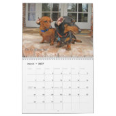 2012 Dachshund Dog-agenda Kalender (Mar 2027)