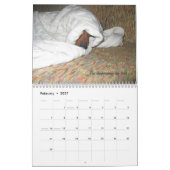 2012 Dachshund Dog-agenda Kalender (Feb 2027)