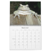 2012 Dave's tuin-kalender Kalender (Mar 2027)