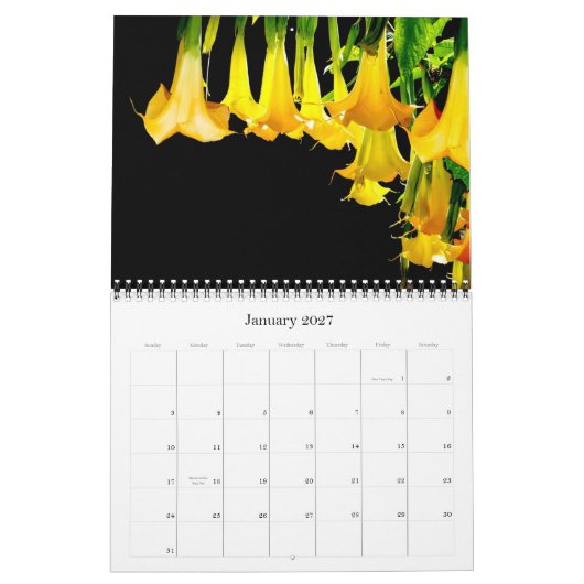 2012 Dave's tuin-kalender Kalender (Jan 2027)