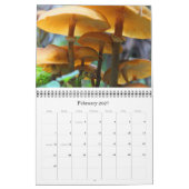 2012 Dave's tuin-kalender Kalender (Feb 2027)