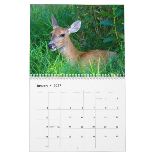 2012 Deer Lovers Agenda Kalender (Jan 2027)