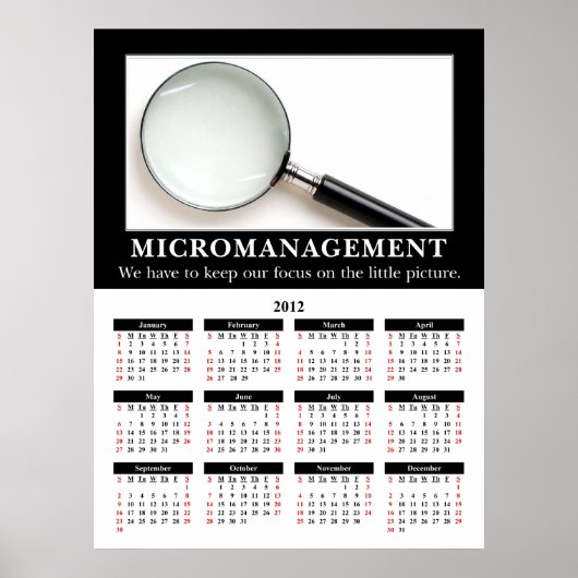 2012 Demotivationele wandkalender: microbeheer Poster (Voorkant)