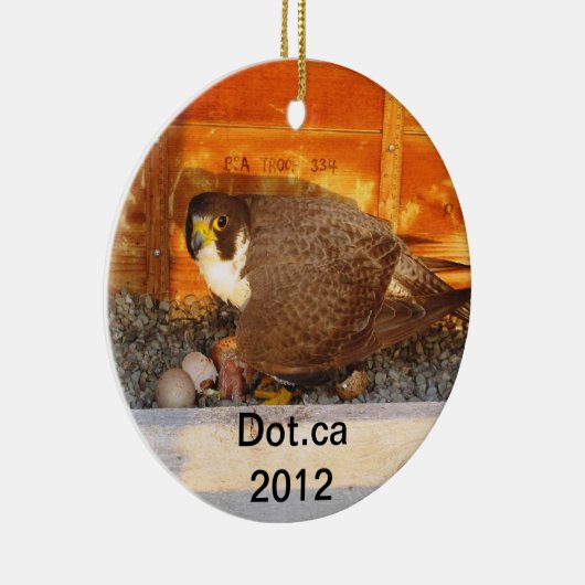 2012 Dot.ca Ornament (Rechts)