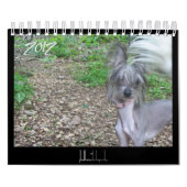 2012 haarloze honden kalender (Hoes)