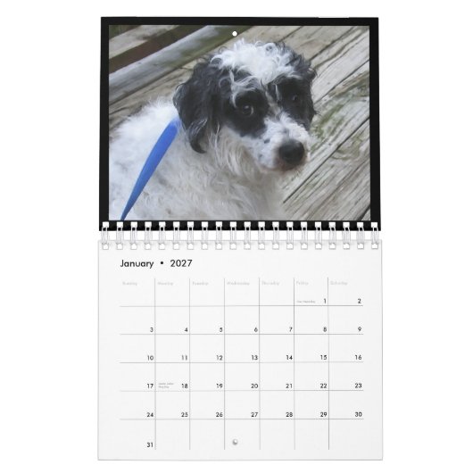 2012 haarloze honden kalender (Jan 2027)