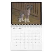 2012 haarloze honden kalender (Feb 2027)