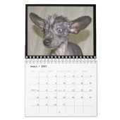 2012 haarloze honden kalender (Mar 2027)
