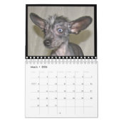 2012 haarloze honden kalender (Mar 2026)